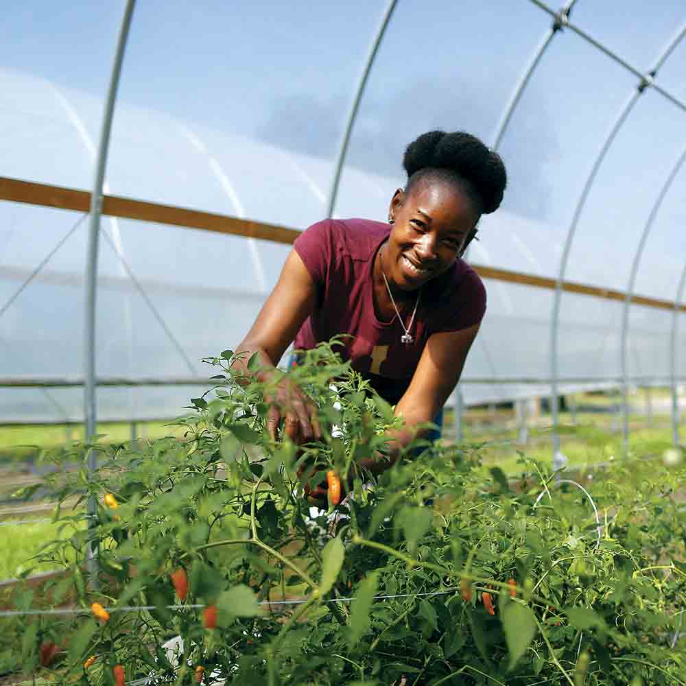 FreshLo recipients are using their awards to create neighborhood projects.