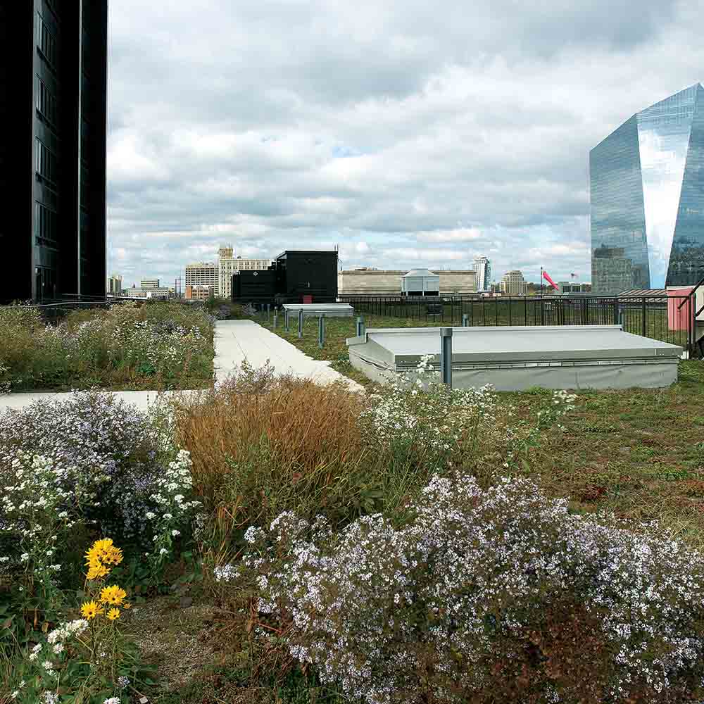 A "green roof" is among infrastructure projects in Philadelphia designed to decrease stormwater runoff.